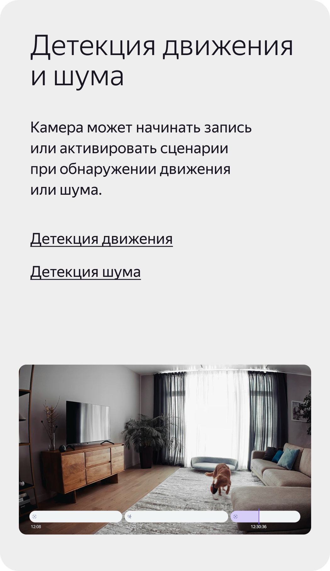 Детекция движения и шума. Камера может начинать запись или активировать сценарии при обнаружении движения или шума.