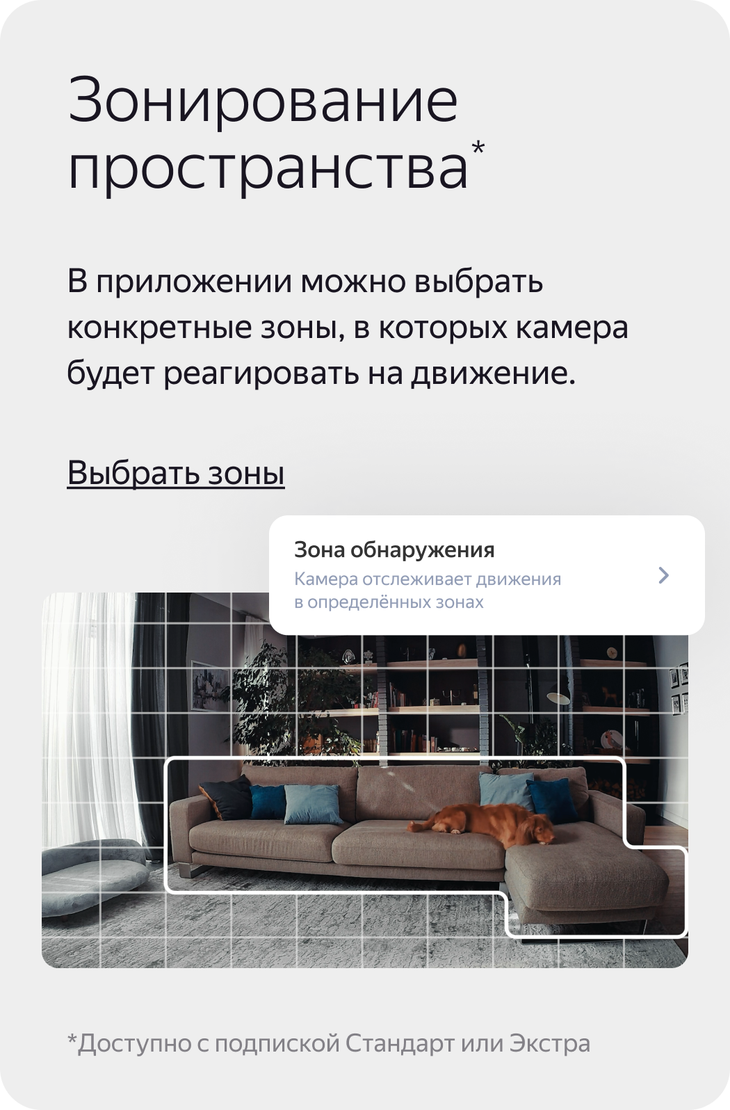 Зонирование пространства. В приложении можно выбрать конкретные зоны, в которых камера будет реагировать на движение.