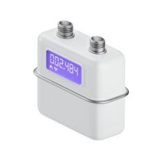 devices.types.smart_meter.gas