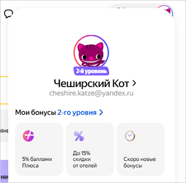 скриншот2