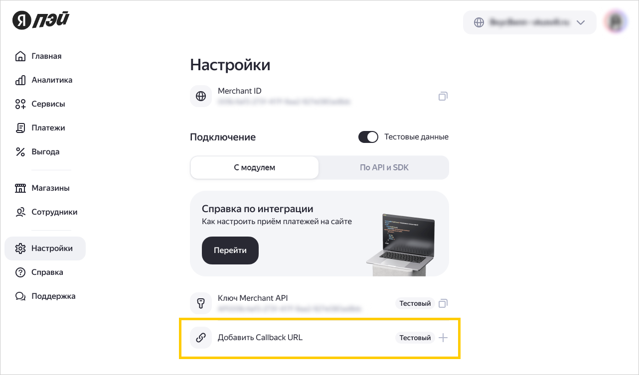 Поле для ввода тестового Callback URL